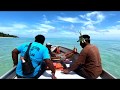 Capture de la vidéo Nanumea And Nukufetau Atolls, Tuvalu