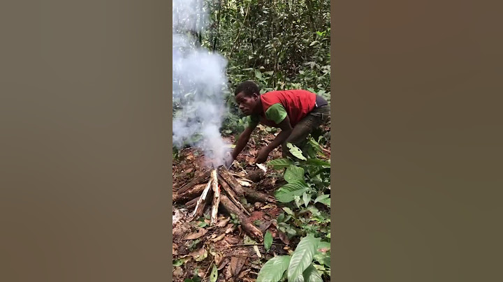 Documentando en África. Vivir con los Pigmeos Baka en la selva de Camerun.