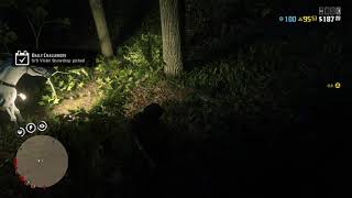 RDR2 daily challenge: Violet Snowdrop Picked