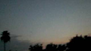 20090517 Bats 2