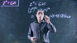 Solving a power function equation (2)