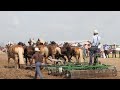 Horse Progress Days 2018 - Tillage Equipment Demonstrations