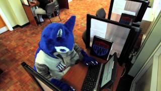 Ask Wolfie - What are the steps to take to get admitted to UWG?