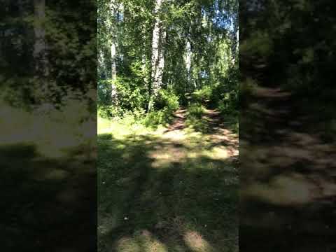 10 беседка