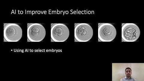 Should we use AI to select embryos in IVF?