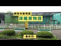 釧路市動物園　ライオンファミリー　床暖房物語〜最終回〜