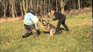 State Police Canine Basic School Training