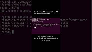 T• collect xong phải có log để kiểm tra lại | Bonus (Ubuntu Workbench) #ubuntu #terminal #code#linux