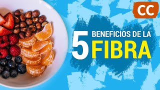 5 Beneficios Importantes de la Fibra | Ciencia de la Comida