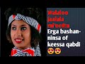 Walaloo Jaalala Gabaabdudha Erga Bashanninsa Of Keessa Qaba