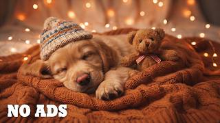 Dog Sleep Music 🐕💤 Healing & Relaxing Music for Anxiety, Stress and Separation Anxiety 🎶 No Ads