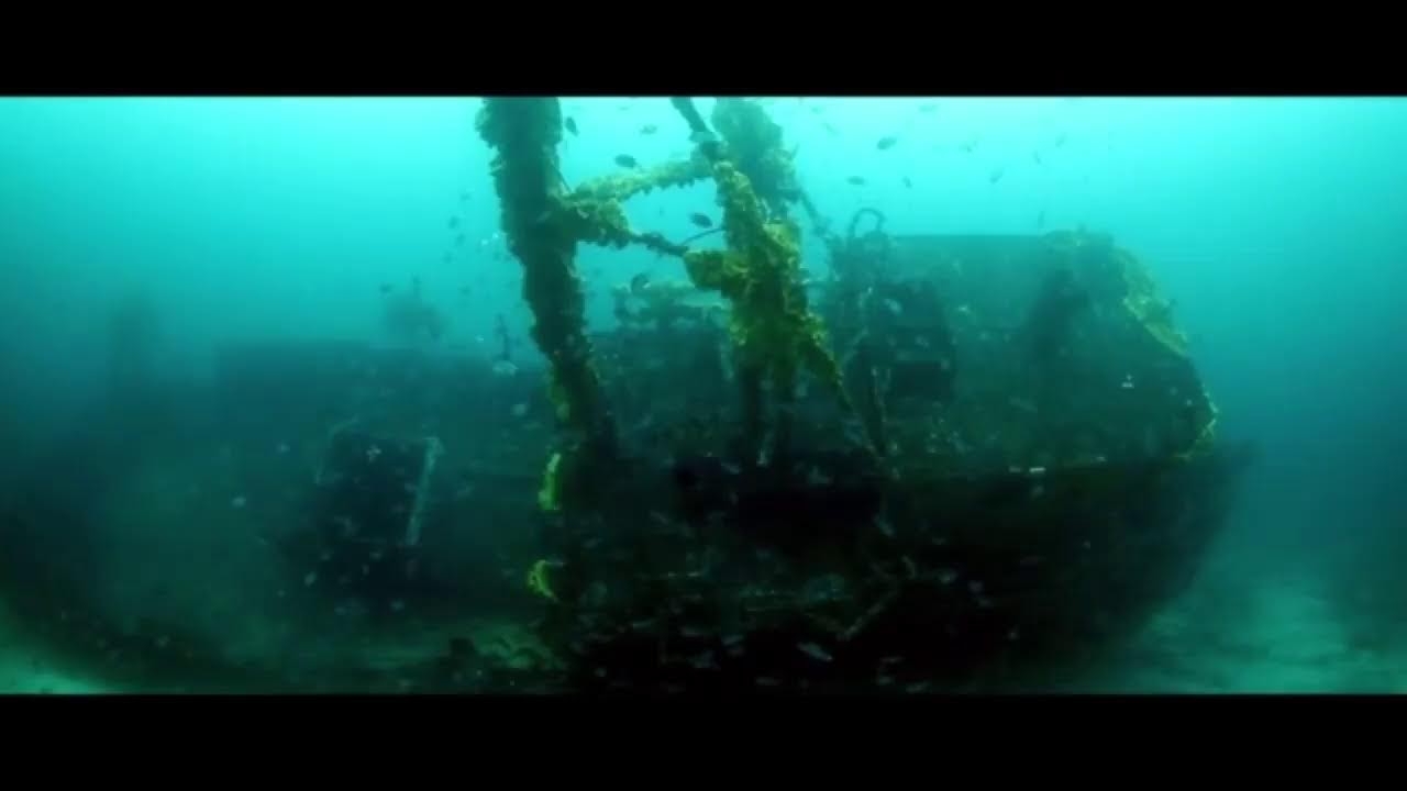 Ultra Calm Wave Live Stream