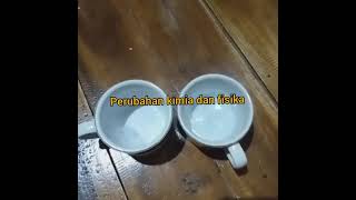 PERUBAHAN KIMIA DAN FISIKA