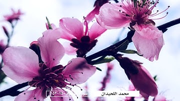 محمد اللحيدان - سورة البقرة (150-152)