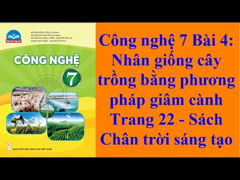 Video: Nhân giống cây trồng cho trẻ em - Ý tưởng cho kế hoạch bài học nhân giống cây trồng