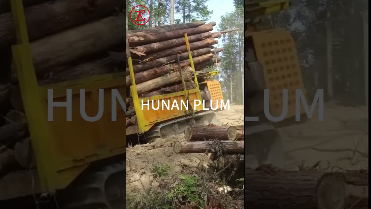 5 Ton crawler carrier logs transport in slop  Hunan Plum 