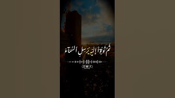 ( ماهر المعیقلي ) | ( سورة هود ) #ماهر_المعیقلي  | #سورة_هود