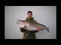 PESCA SUBMARINA - CORVINA 15KG ASTURIAS NOVIEMBRE 2020