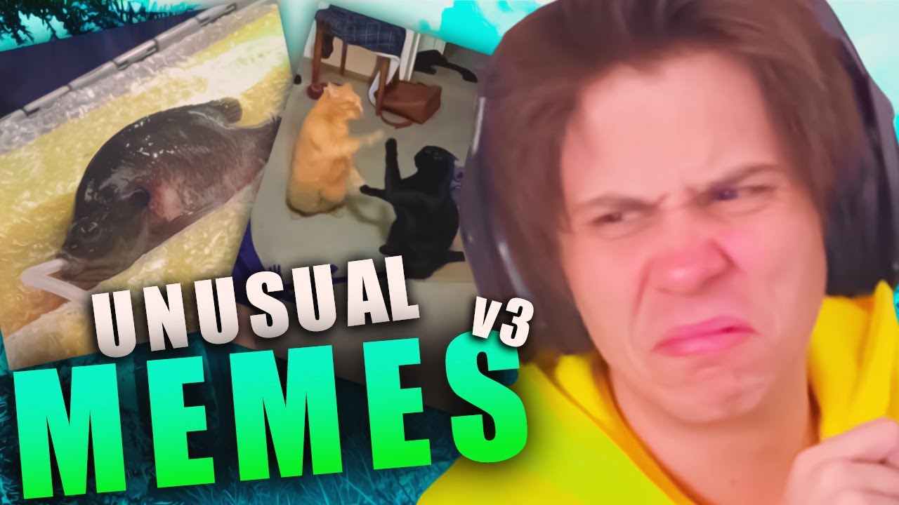 RUBIUS REACCIONA a UNUSUAL MEMES V3# - YouTube