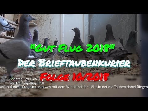 Der Brieftauben Kurier -  10/2018 - Jungtaubentraining Lützlow, Jungtierkrankheit, Uckermark