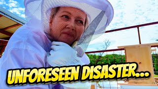 Unforeseen Disaster at the Beehive by Junod Acres Homestead 2,706 views 2 weeks ago 18 minutes