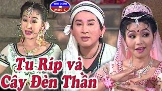 Cai Luong Turip va Cay Den Than