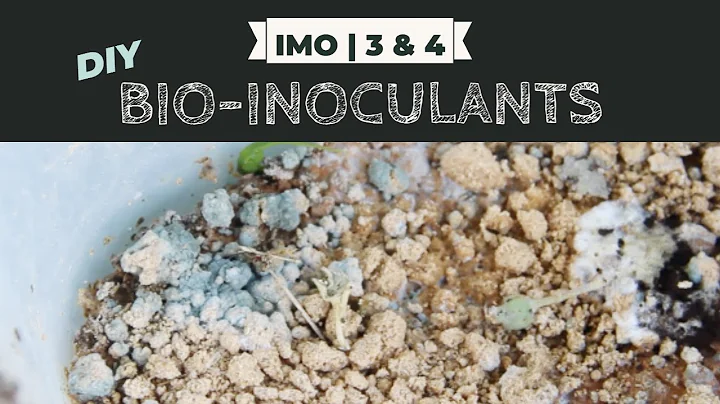 Inoculate Your Compost: IMO 3 & 4