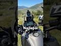 Nejlepší pomocníci na tvé cestě?