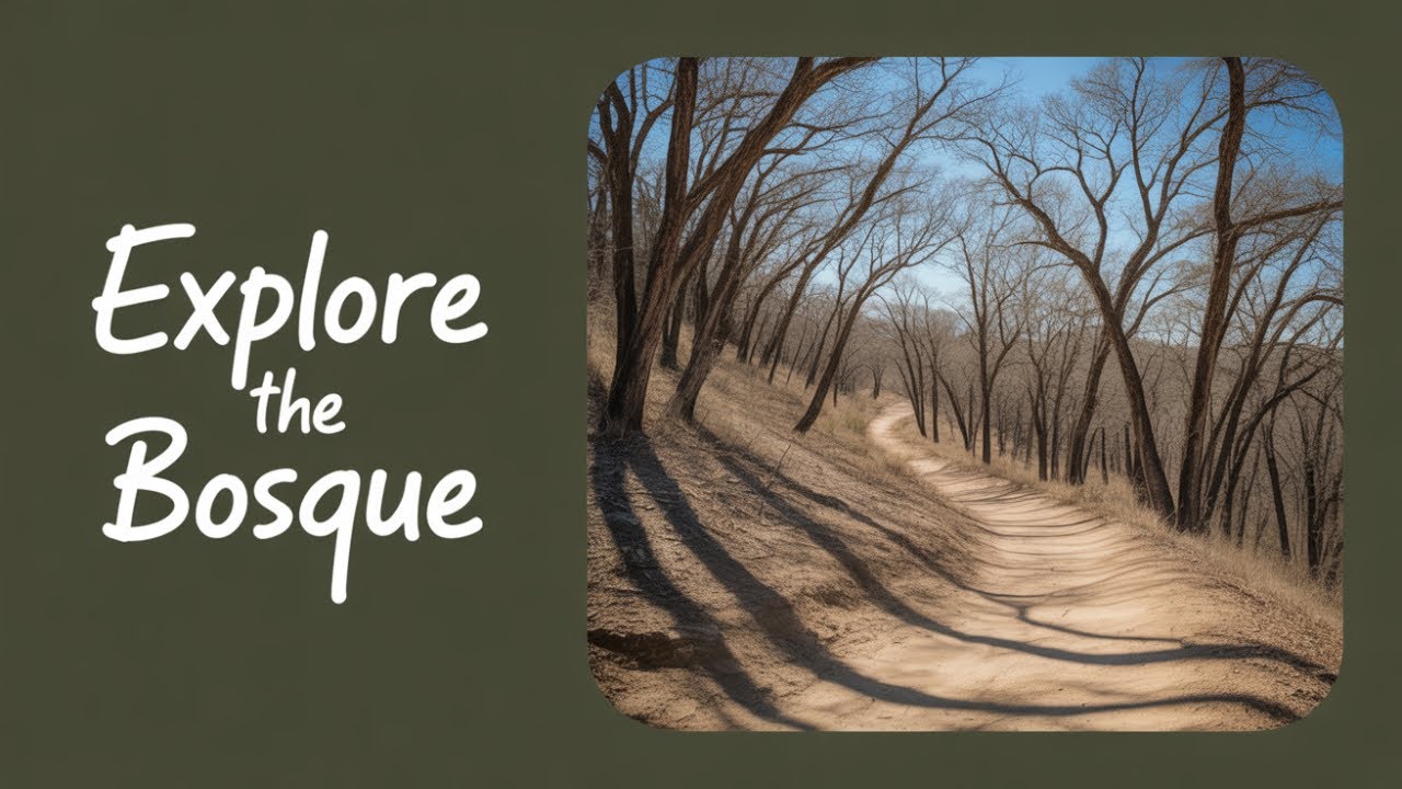Walking the Bosque: What I Found on This Trail