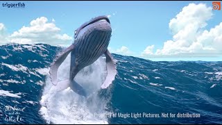 Visual Effects Show Reel 2020 - Danielle Lindenberg