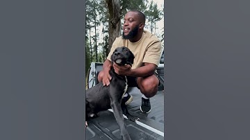 Adventure more with the GWM P-Series