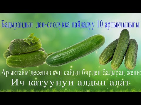 Video: Бадыраңдын солгусу жөнүндө көбүрөөк билүү