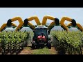 Wow modern agriculture harvest technology agricultural machines from the future harvesting robot