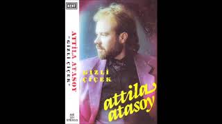 Attila Atasoy - Sevdamsın (1991)