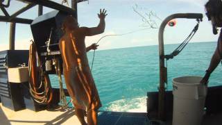 Diving the Atocha