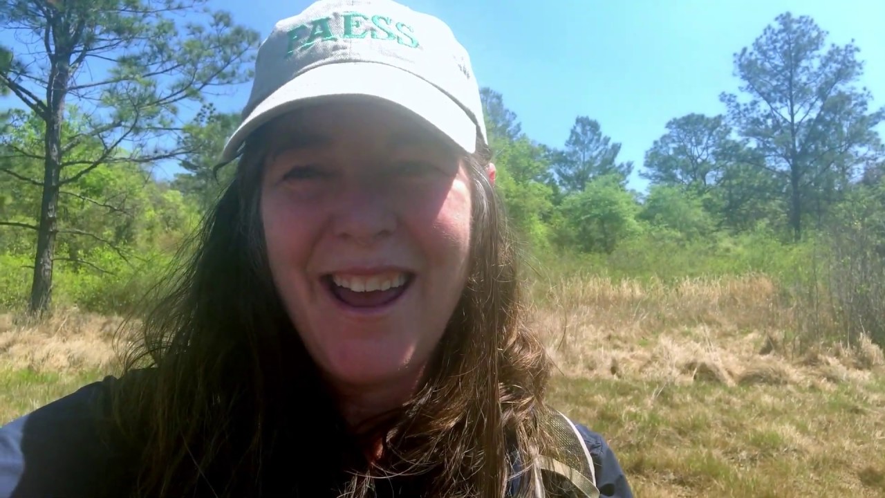 Introduction to the Sandhill Upland Lake Ecosystem