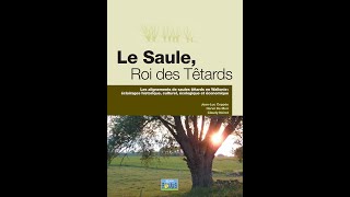 Le Saule, Roi Des Têtards