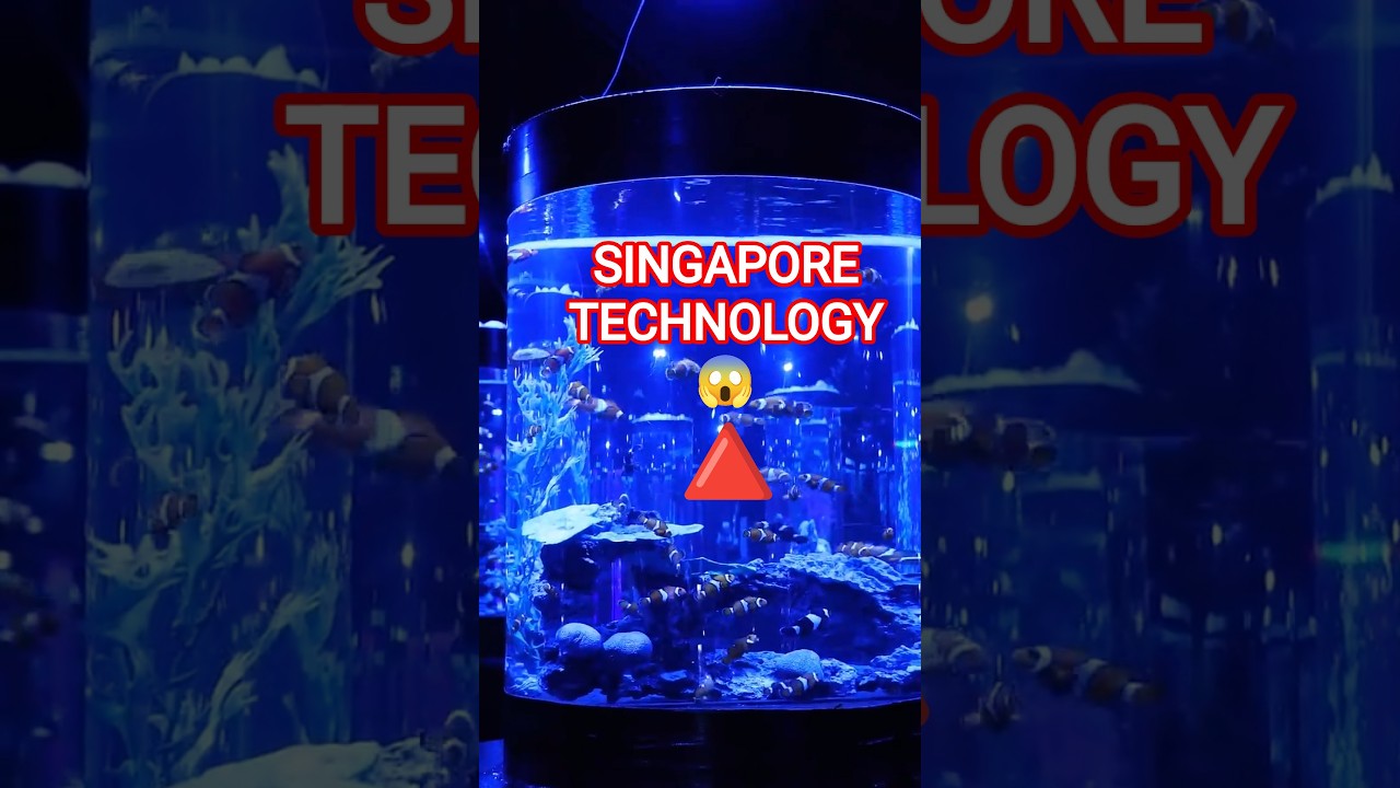 Why did Singapore get Scared 😱 #shorts #facts #Singapore #Farming