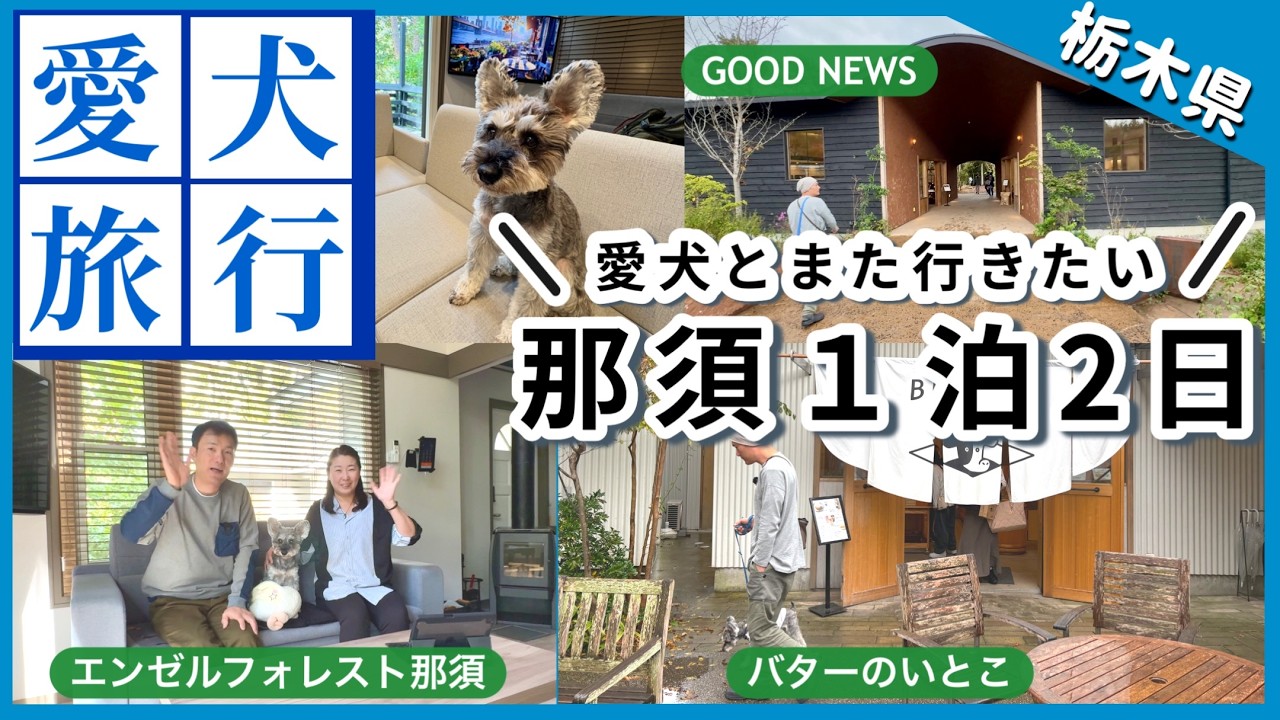 【愛犬と旅行】絶品ハンバーグ ＆ 那須の人気スイーツ！プライベートドッグラン付きコテージに宿泊｜栃木観光｜那須1泊2日