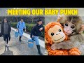 Punch Monkey Viral Story 🐒💔 | Punch Monkey ni Enduku Bully Chesaru? | Telugu Vlogs Japan |