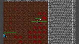 Celebrity Lord Matheus The Druid Auto Heal Profile
