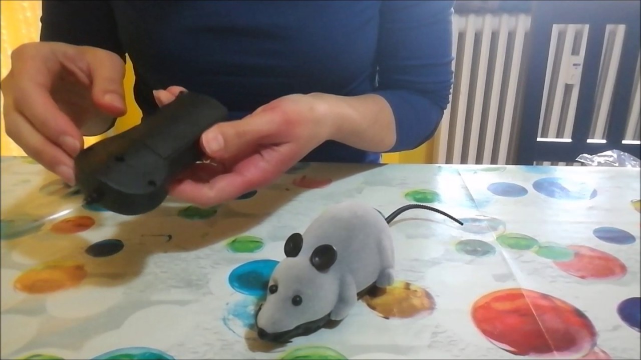 Rosenice Telecomando Topo Amazon Recensione Review Youtube