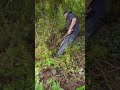 Aquí preparando para la milpa amigos bendiciones
