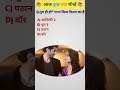 एक बार सुनोगे तो बार-बार चलाओगे 😍BollywoodSongs#HindiSongs#MusicShorts#ViralSong#YouTubeShorts