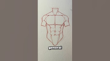 How to draw muscular abs || Jmarron