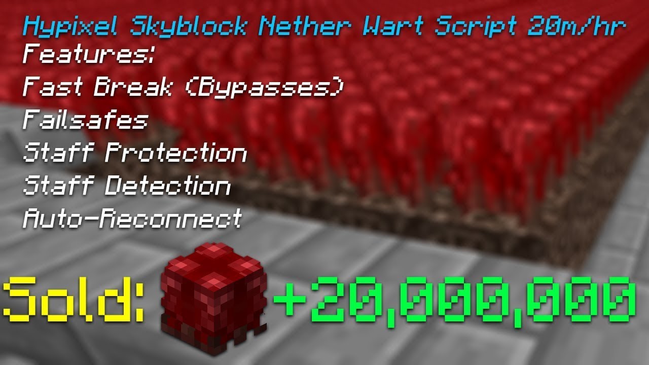 Hypixel Skyblock Nether Wart Script Fastbreak & Failsafes 17m/h Download in Description YouTube