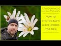 How to photograph Wildflowers (Top Tips) | Flower Photography