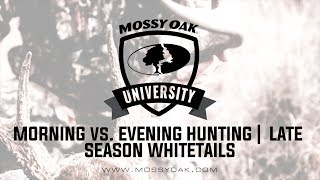 Morning vs. Evening Hunting | Late Season Whitetails