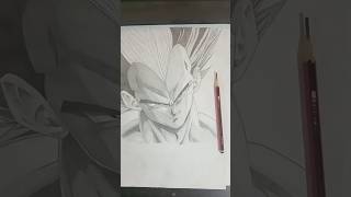 I'm not a Professional artist, but I'd appreciate your support.