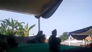 Pencak silat Mang Ade anas